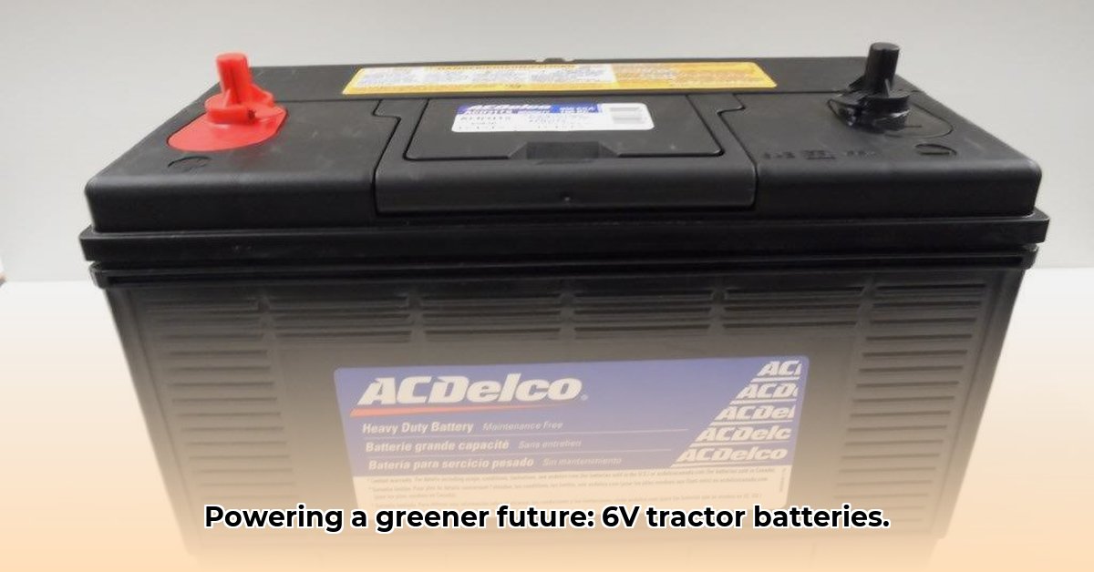 6-volt-tractor-batteries